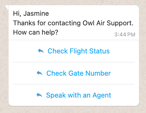 Chat options: Check Flight Status, Check Gate Number, Speak with an Agent.
