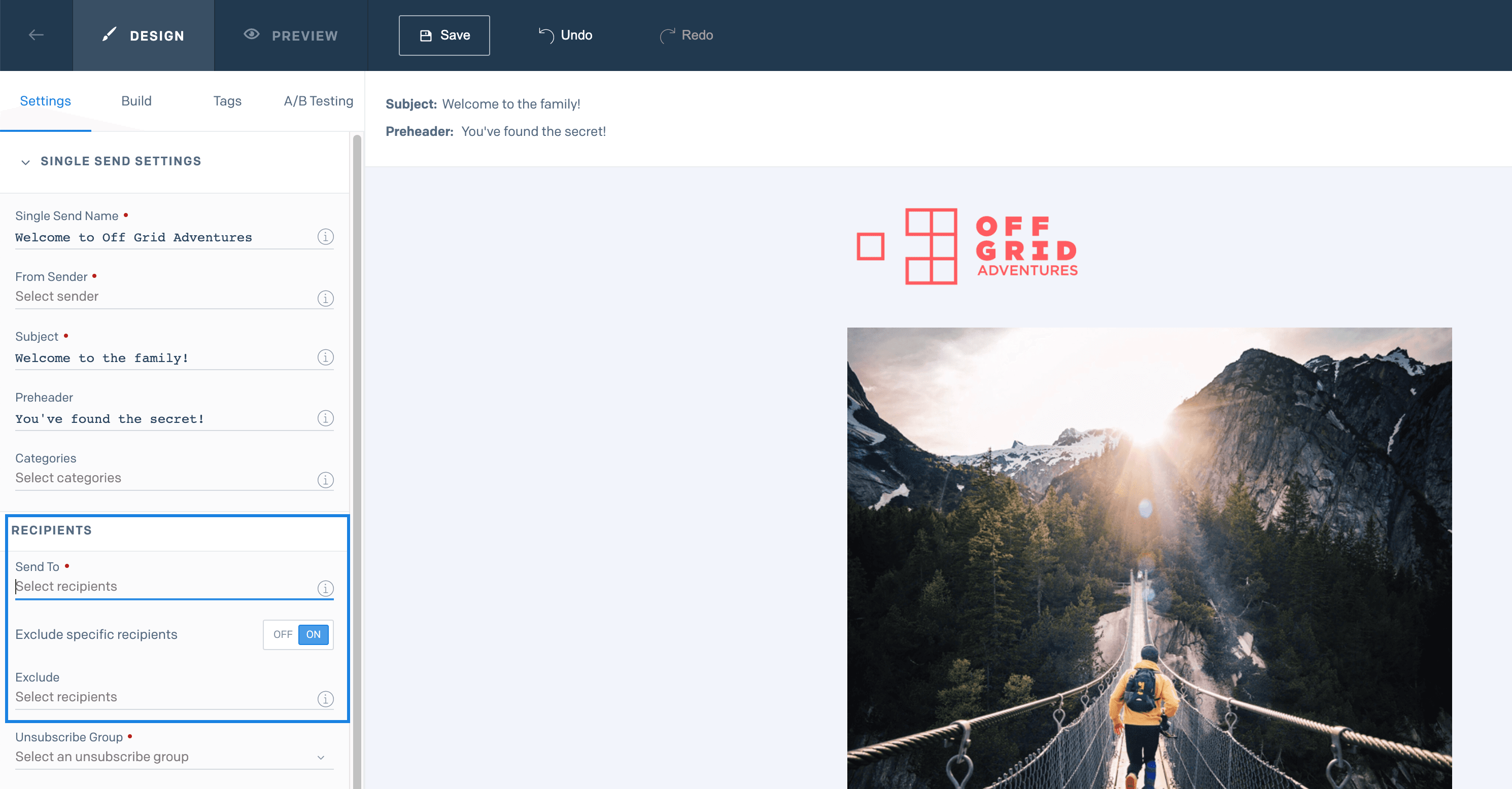 Single Send settings with option to exclude specific recipients enabled.