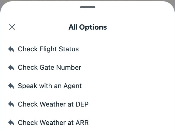 Menu with options for flight status, gate number, agent contact, and weather at DEP and ARR.