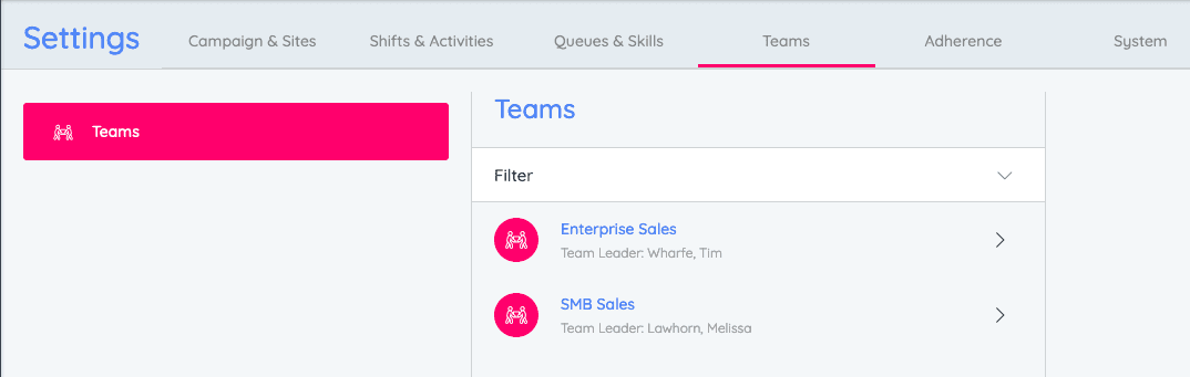 Teams settings showing Enterprise and SMB Sales with team leaders.