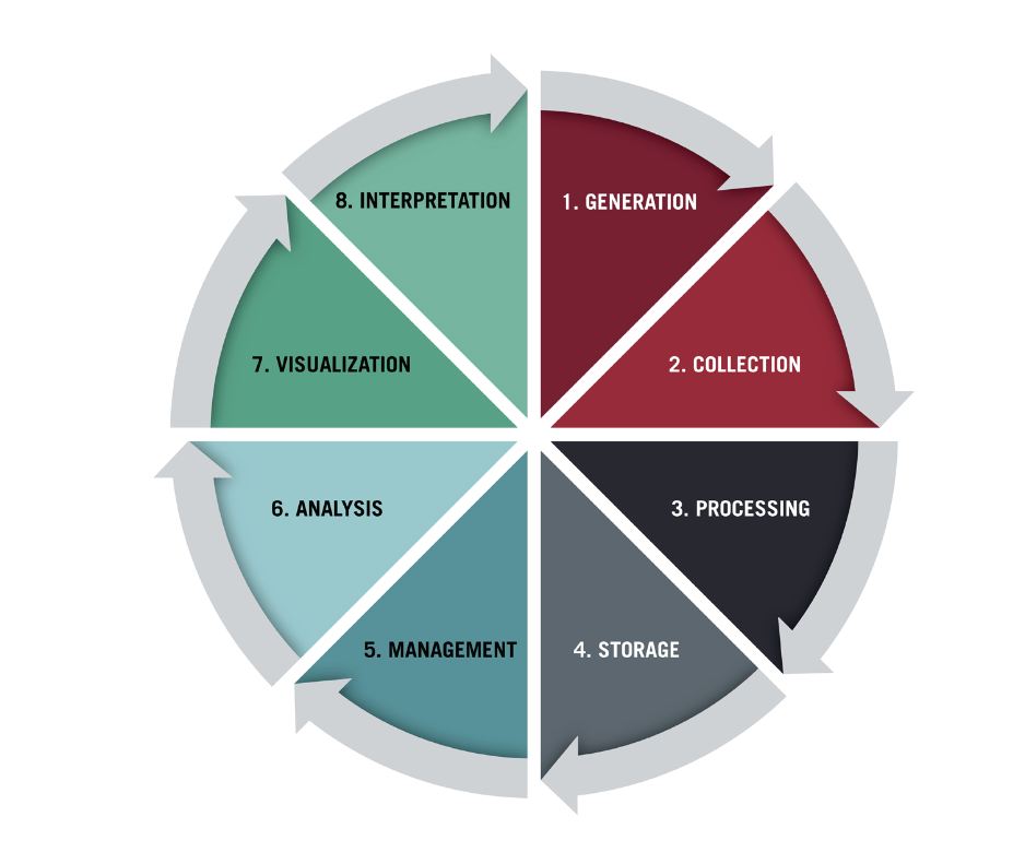 Circular diagram showing eight data lifecycle stages: Generation, Collection, Processing, Storage, Management, Analysis, Visualization, and Interpretation.