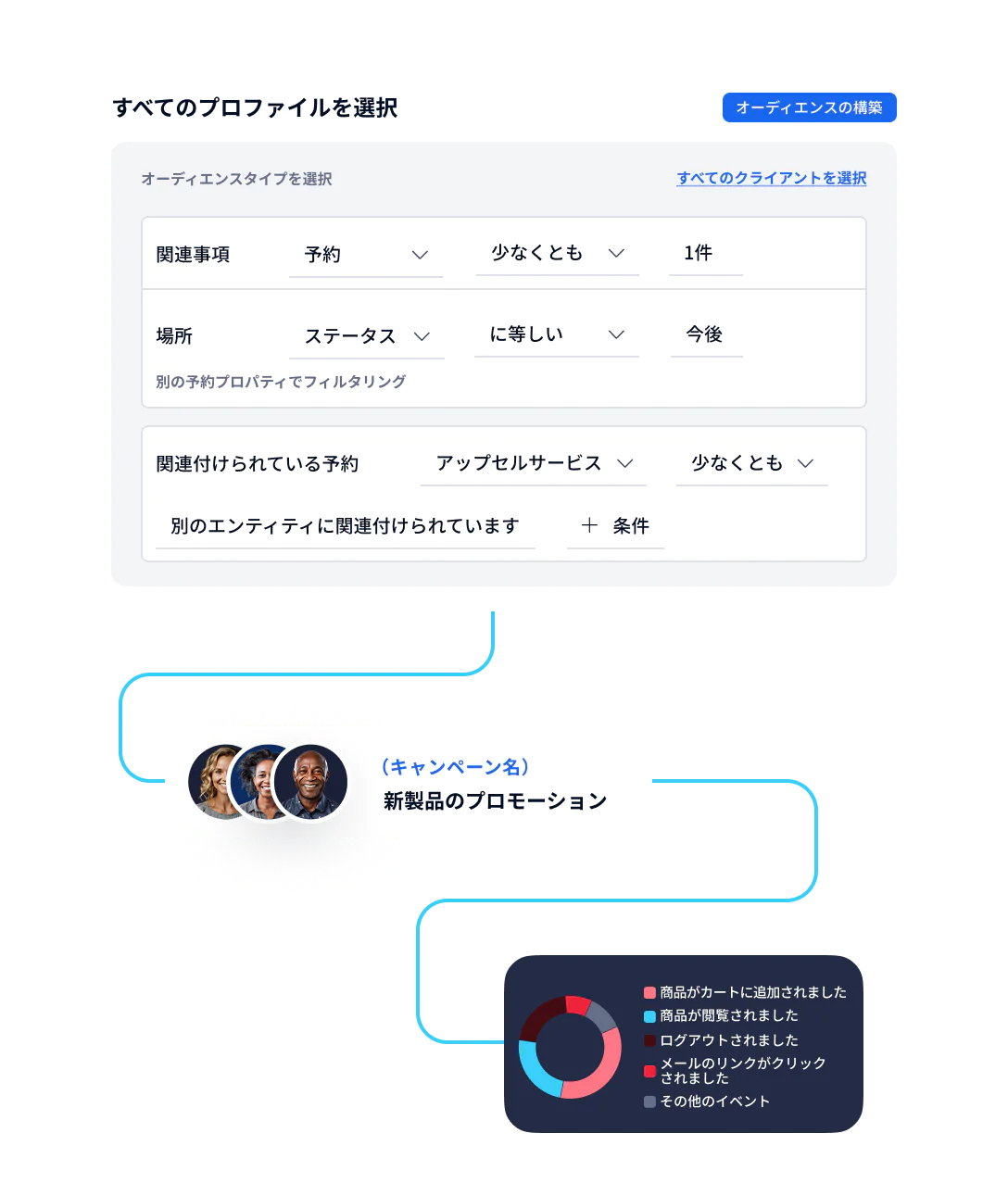 Audience Segmentation and Campaign Promotion Workflow UI interface for audience selection, campaign promotion flowchart, and analytics pie chart
