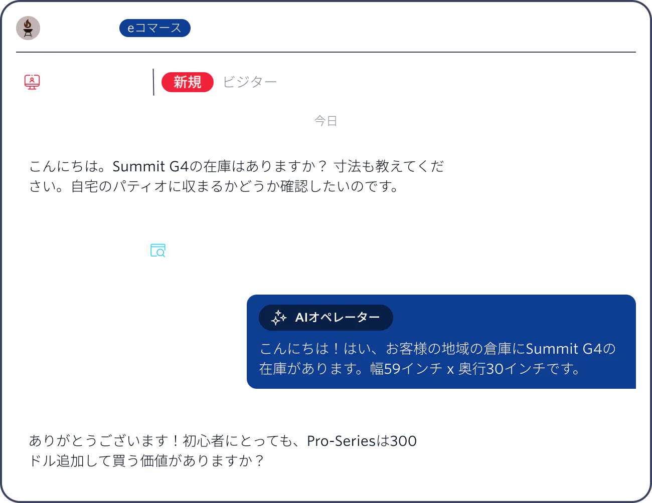 Web chat showing a customer inquiring about the dimensions of the Summit G4 grill and an AI assistant responding.