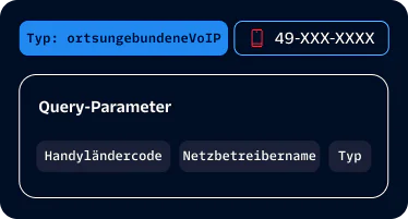 Query Parameters System Display with Example Inputs Example of query parameters including FirstName, AddressLine, City, and State with a phone number