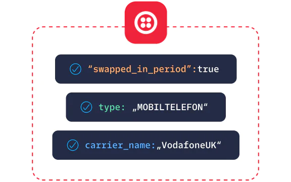 Screen displaying mobile network information with swapped in period status, type, and carrier name.