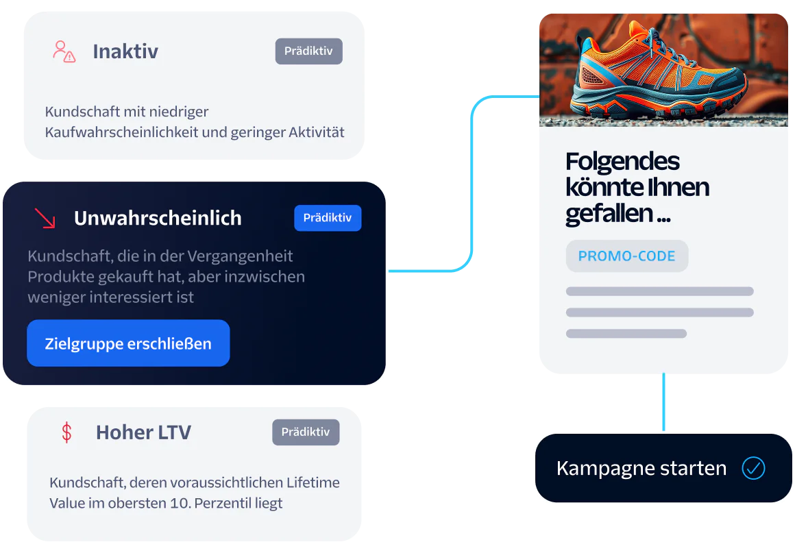 Image showing dormant, long shots, and high LTV customer segments for a targeted marketing campaign.