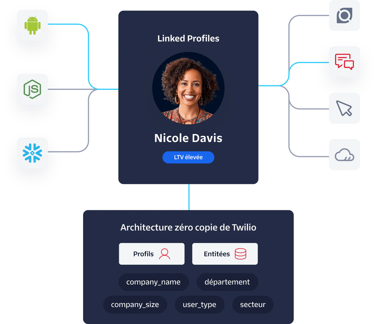 Diagram showing Linked Profiles and Zero Copy Architecture with various technology and connectivity icons.