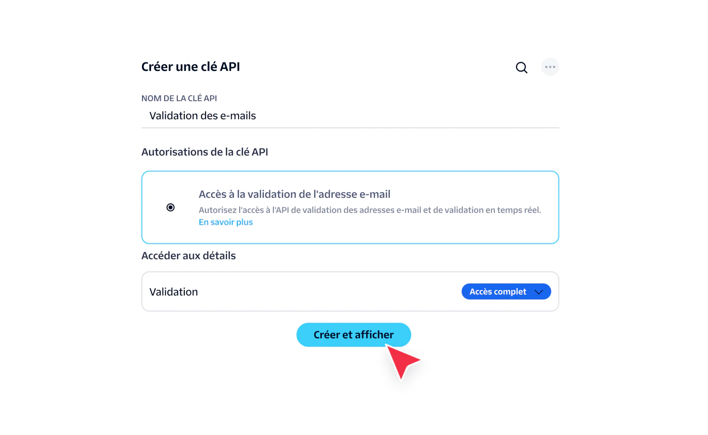 Interface for generating an API key with email validation permissions and access settings.