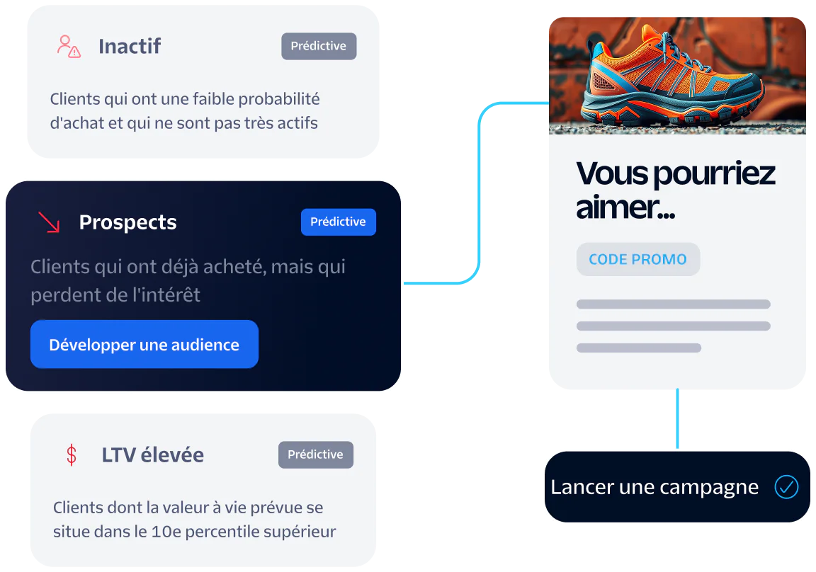 Image showing dormant, long shots, and high LTV customer segments for a targeted marketing campaign.