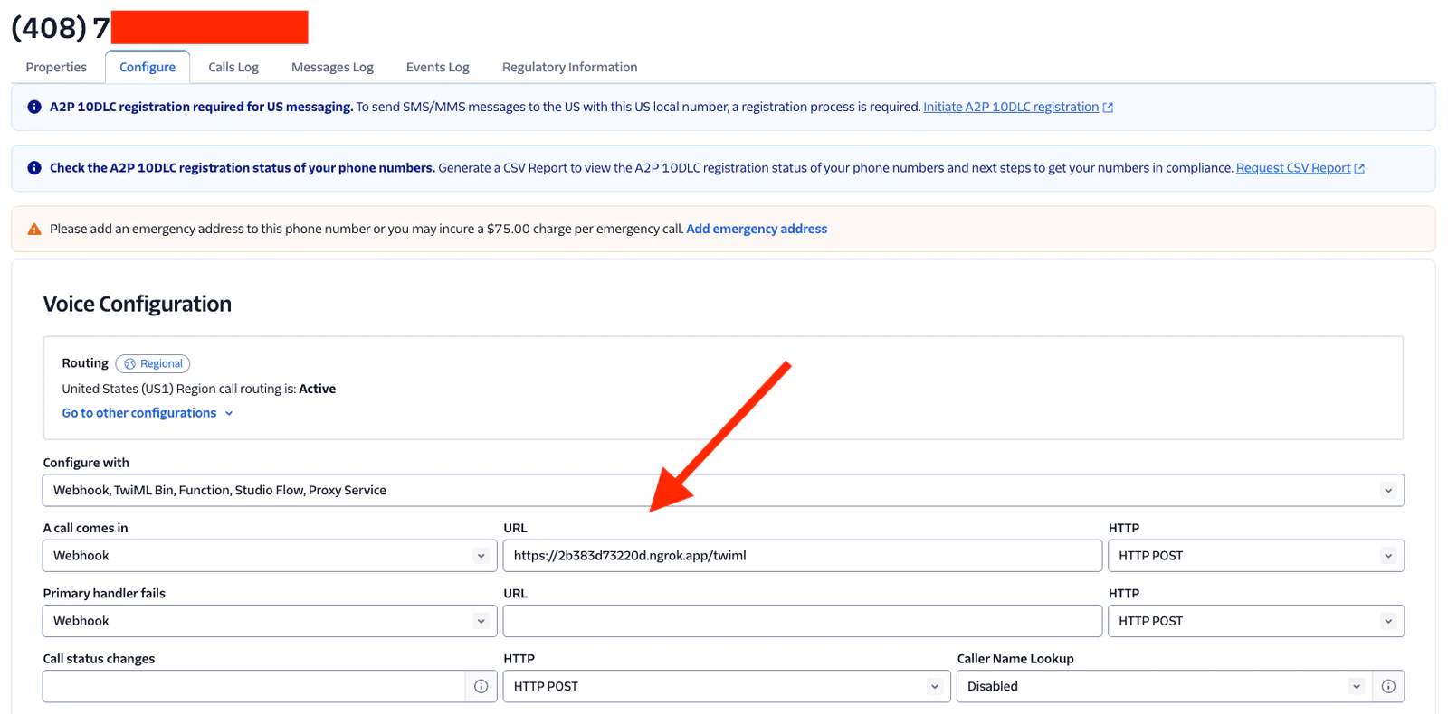 Voice Configuration Settings in Online Portal Screenshot of voice configuration settings in an online portal with fields for routing and URL configuration.