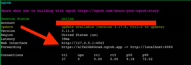 Screenshot showing Ngrok session status as online with update available and forwarding URLs provided.