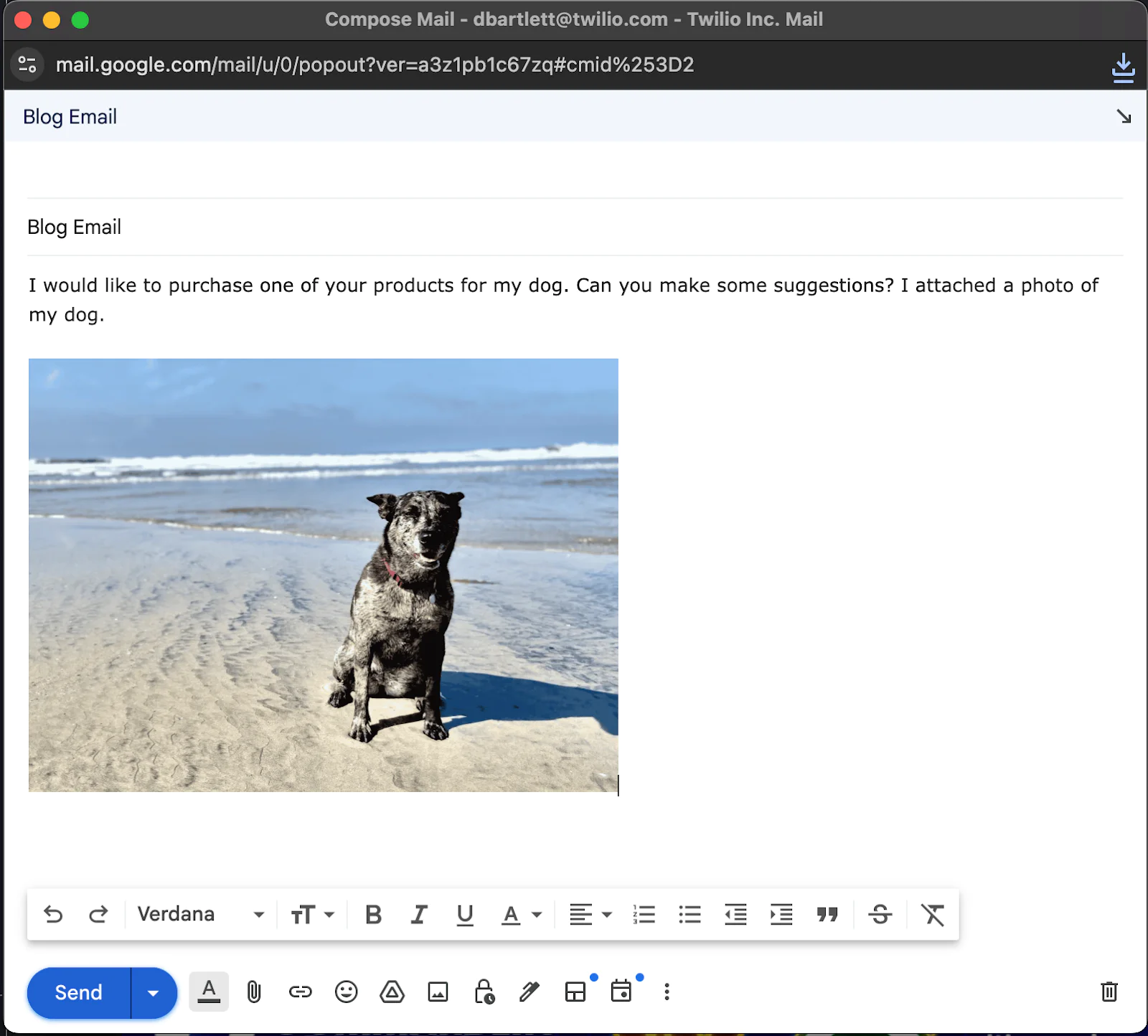 Email draft with a photo of a sitting dog on the beach attached, asking for product suggestions.