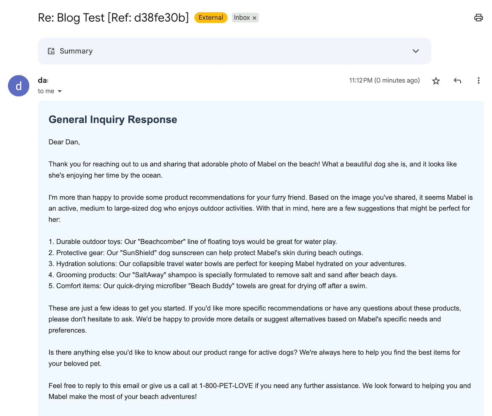 Email from a company providing dog product recommendations for beach activities.