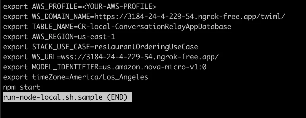 Screenshot of a bash script configuring AWS settings and starting a local Node.js application.
