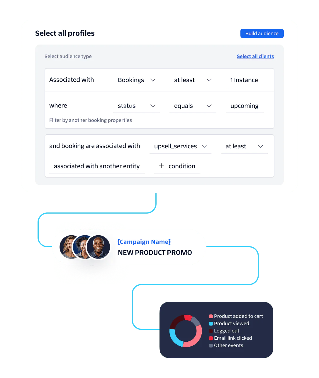 UI interface for audience selection, campaign promotion flowchart, and analytics pie chart