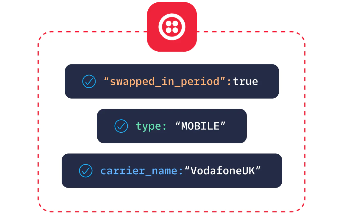 Screen displaying mobile network information with swapped in period status, type, and carrier name.