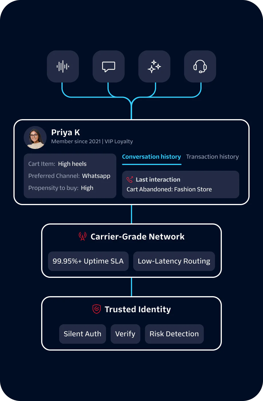 Dashboard showing customer data for Priya K including cart items, preferred channel, and carrier-grade network details.