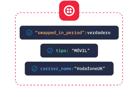 Screen displaying mobile network information with swapped in period status, type, and carrier name.