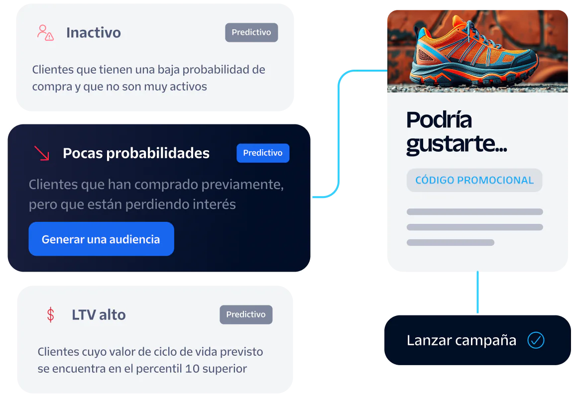 Image showing dormant, long shots, and high LTV customer segments for a targeted marketing campaign.