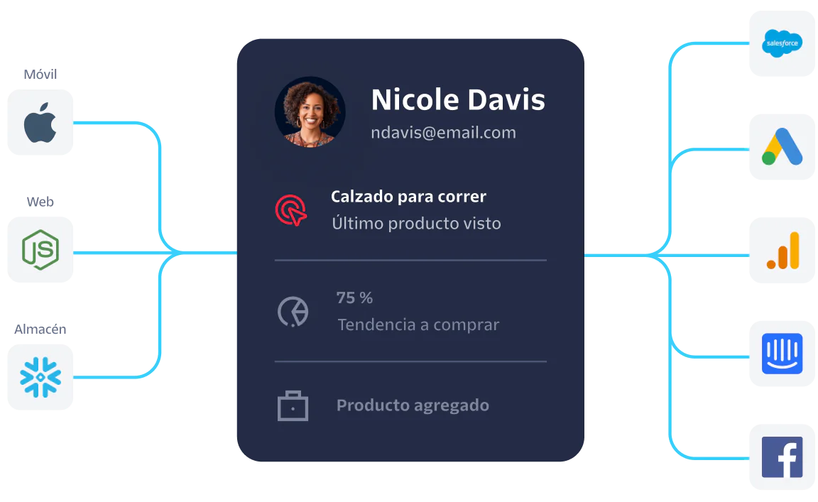 Visualization of customer data from Nicole Davis integrated with platforms like Salesforce and Google Analytics.