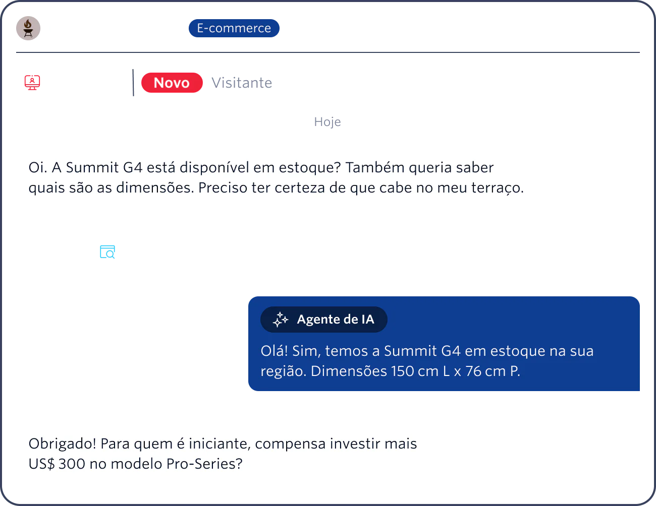 Web chat showing a customer inquiring about the dimensions of the Summit G4 grill and an AI assistant responding.